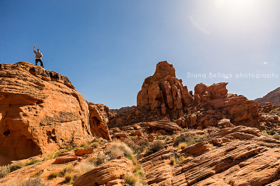 Valley of Fire © Diana Bellack Photography