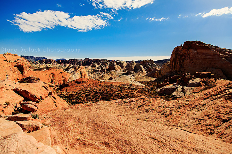 Valley of Fire © Diana Bellack Photography